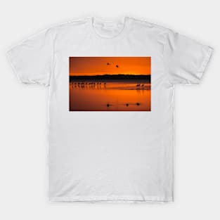 Arrival at dusk T-Shirt